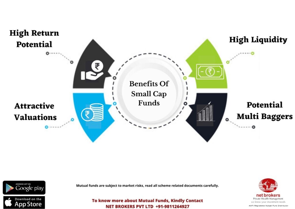 Investing in Small Cap Funds