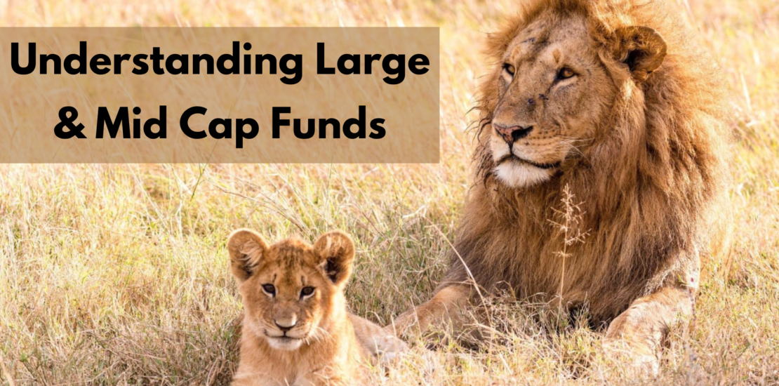 Large & Mid Cap Funds