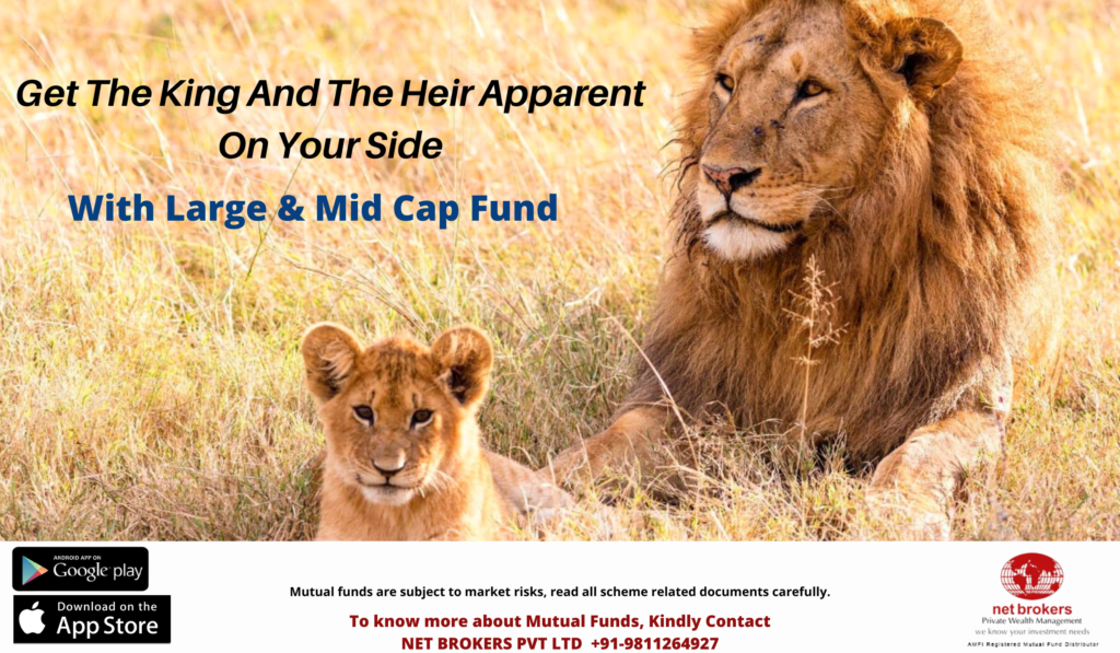 Large & Mid Cap Funds