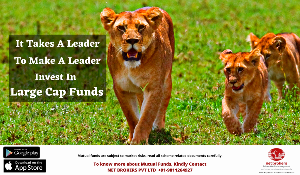 Why Invest in Large Cap Funds?