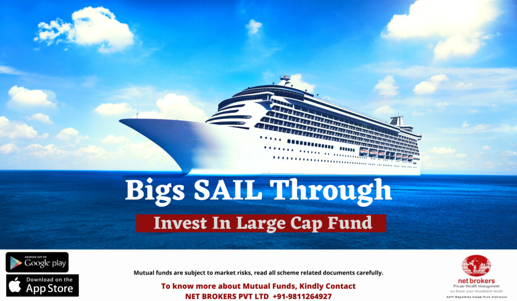 Why Invest in Large Cap Funds?