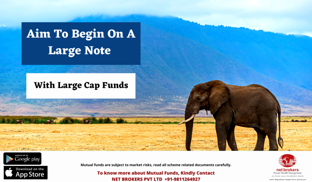 Why Invest in Large Cap Funds?