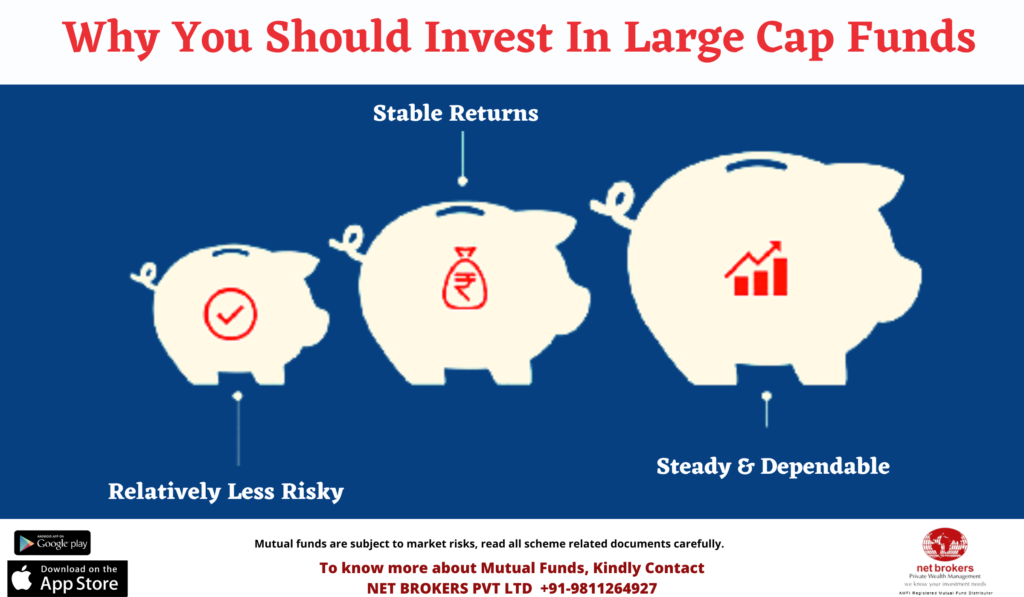 Why Invest in Large Cap Funds?