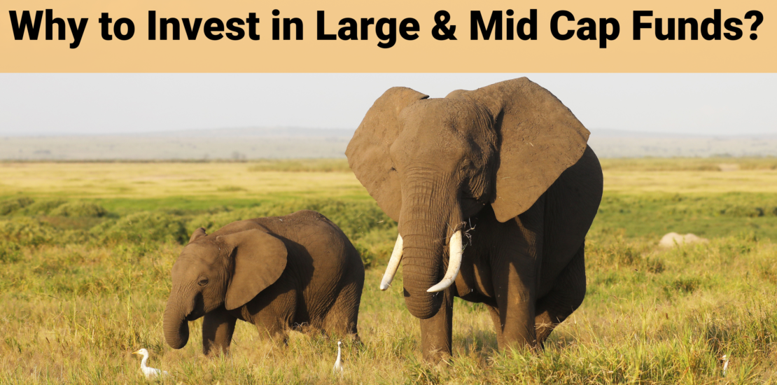 Why to Invest in Large & Mid Cap Funds?